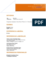 8 Curriculum Vitae Profesional Naranja 97 2003