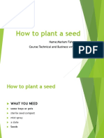 How To Plant A Seed
