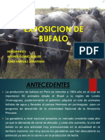 Bufalos de Bufon