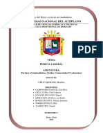 Informe de Peritaje Contable