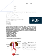 Exercicios de Fixaçao