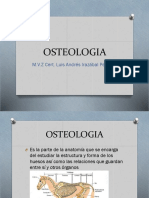 Anatomia Osteologia 1