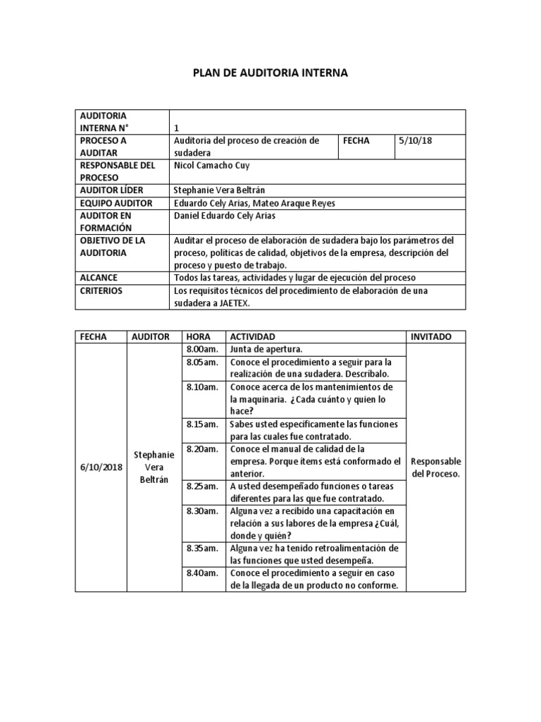 Plan de Auditoria Interna | PDF | Auditoría | Business