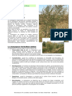 La Verticilliose PDF