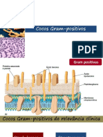 Elsa Aula 10 Elsa- Cocos Gram Positivos (1)