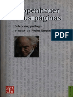 Schopenhauer en Sus Paginas Stepanenko PDF