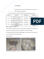 Muestras de suelo y ensayos de laboratorio.docx