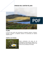 Biodiversidad Del Cantón Píllaro