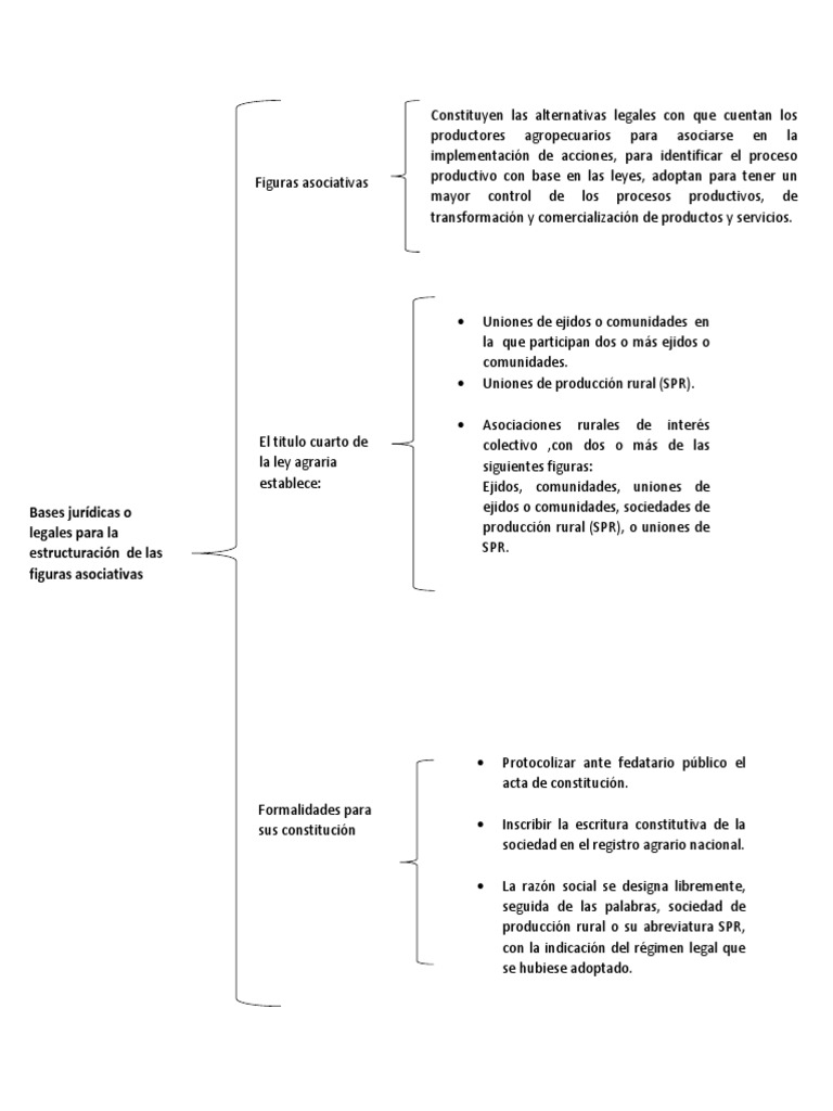 CUADRO SINÓPTICO.docx
