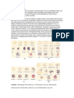 Plasmodium