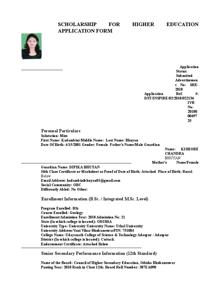 Higher Education Scholarship Application | PDF | Educational Stages ...