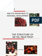 Oil Palm: and Its Importance To National Development