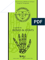 BRY's Bones & Joints