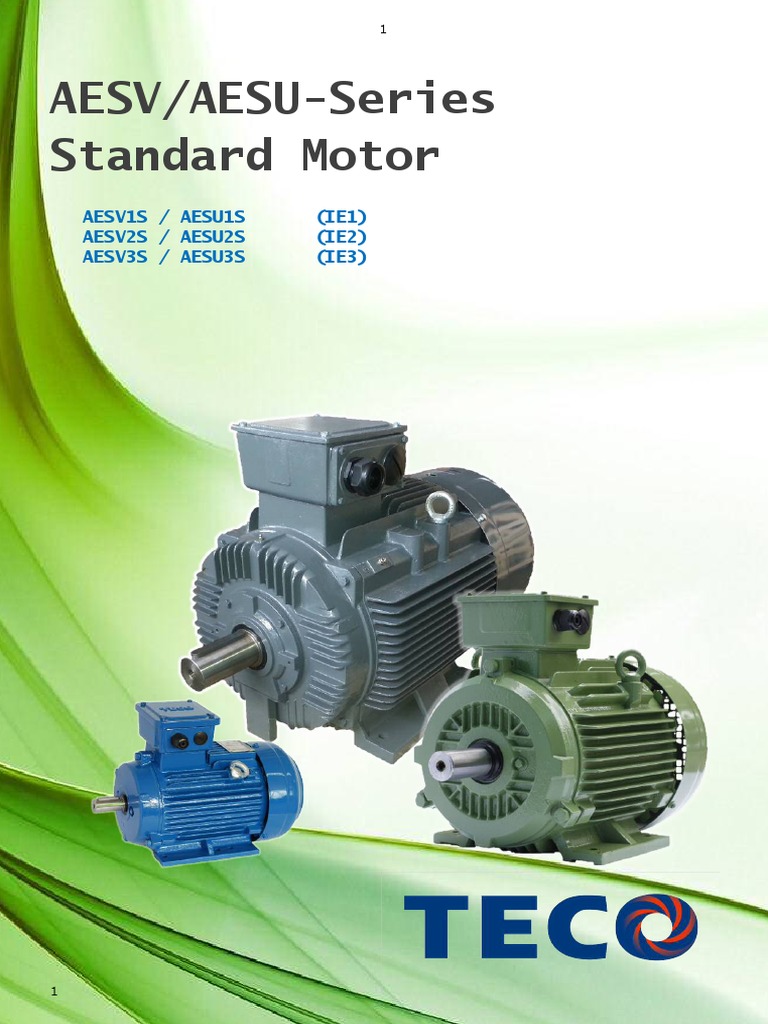 TECO Electric Motors Overview | PDF | Electric Motor | Bearing (Mechanical)