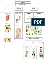 Esquema Animales PDF