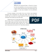 Stem Cell 