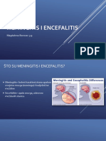 Meningitis I Encefalitis