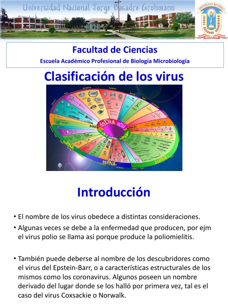 4 Clasificación de Los Virus | PDF | Adenoviridae | Virus