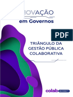 Triangulo Da Gestão Publica Colaborativa