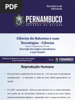 Descrição Dos Órgãos Reprodutores e Suas Funções