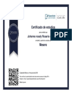 Certificado Johanna
