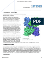 PDB-101 - Molécula Del Mes - Hidroxilasa de Fenilalanina