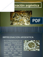 137233411-argentica-impregnacion.pdf