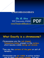 Chromosome.ppt