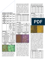 Analisis Microestructural Mediante Técnica de Matalografia A Color