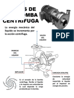 50832447 Partes de Una Bomba Centrifuga