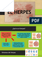 Diapositiva Del Herpes