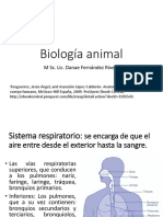 Biología Animal Sistema Respitario