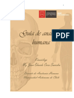 Anatomia General PDF