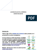 Cap.08 - Las Moleculas de La Herencia Acidos Nucleicos