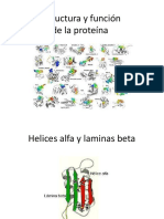 Estructura y Función de La Proteína