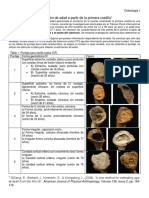 Estimación de Edad Digangi 1racostilla.