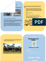 ACTIVIDADES ECONÓMICAS DE CAÑETE DIPTICO.docx