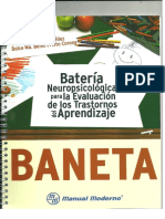 Baneta Manual
