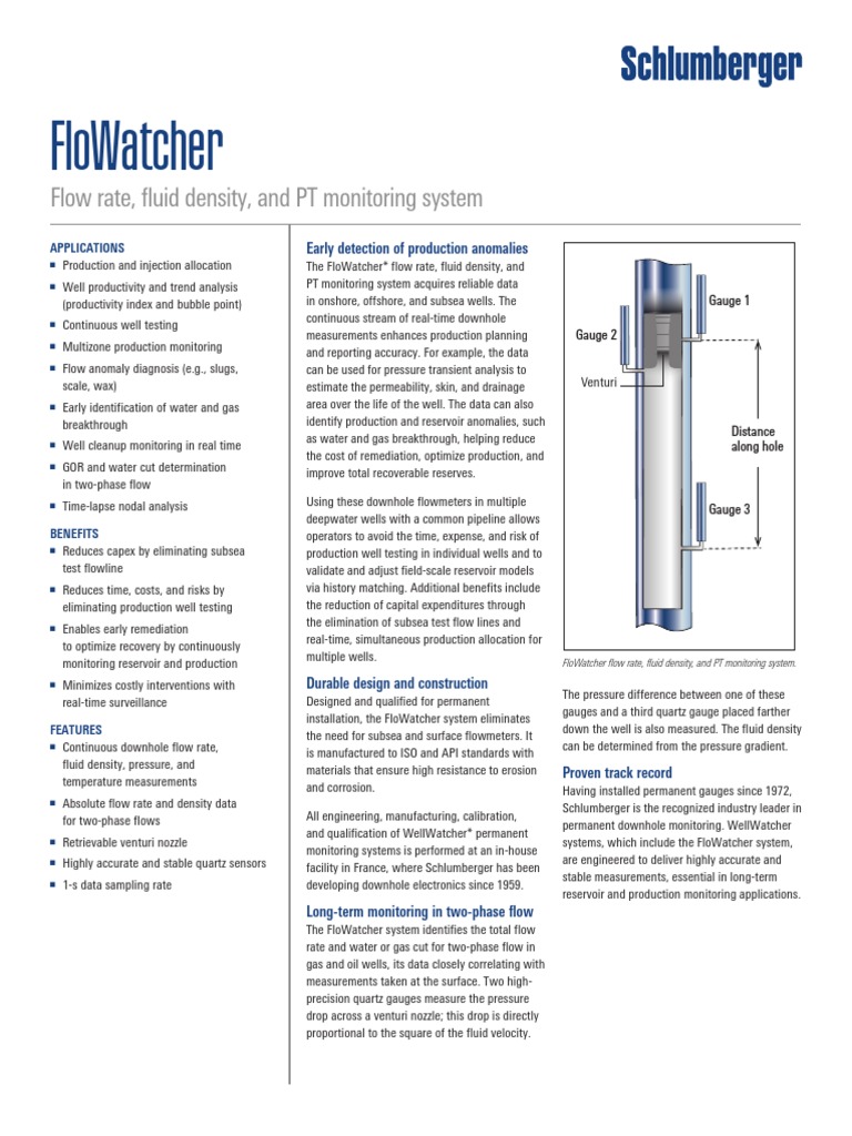 Flo Watcher | PDF | Flow Measurement | Gases