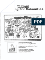 preparing-for-calamities.pdf