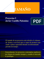 Tamaño Del Proyecto PDF