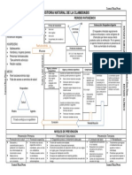 Esquema de La Historia Natural de La Clamidiasis