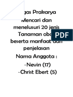 Tugas Prakarya Nevin Chris