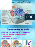 Basic Structure of A Cell