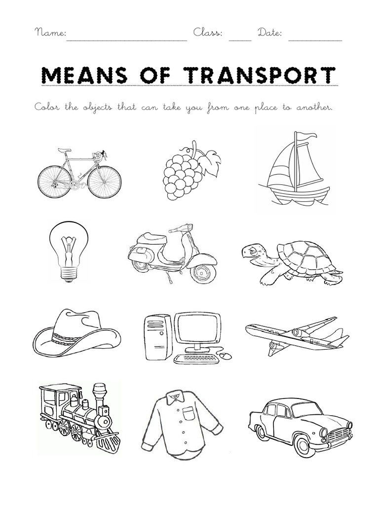 Worksheet Means of Transport | PDF
