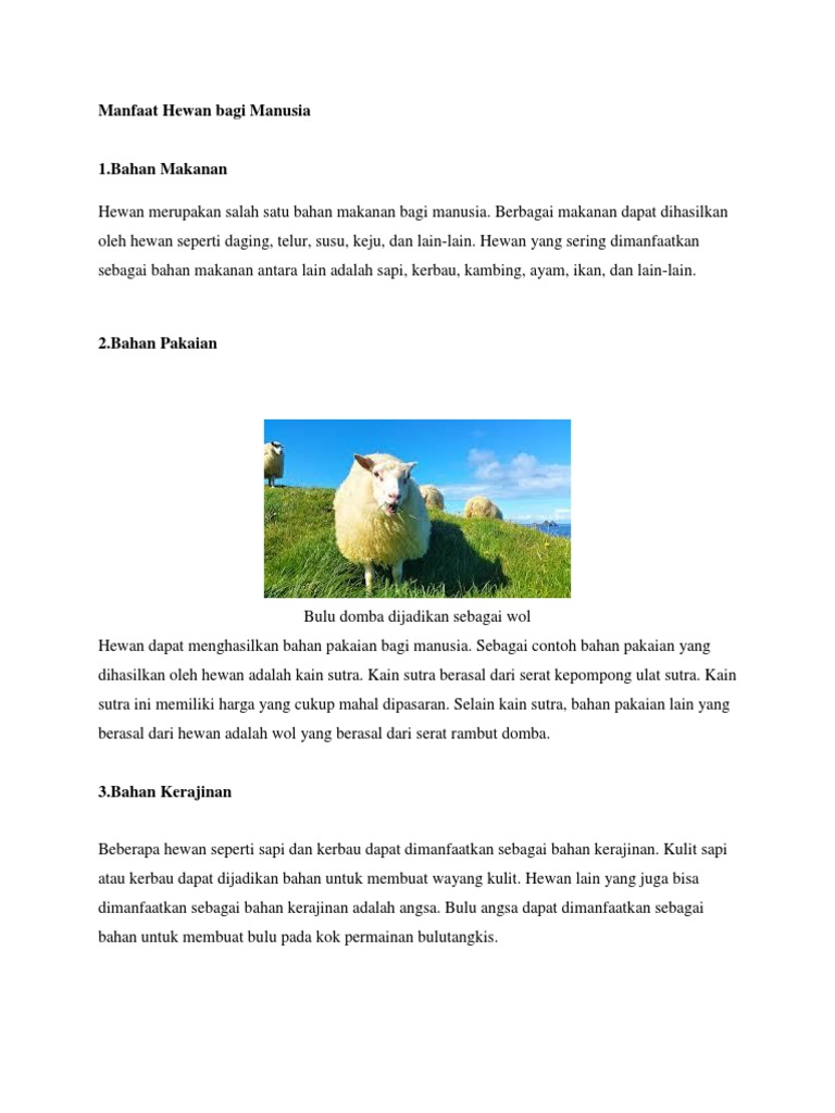 Manfaat Dari Ulat Sutra Dan Bulu Domba Bagi Manusia Adalah Sebagai Kumpulan Informasi