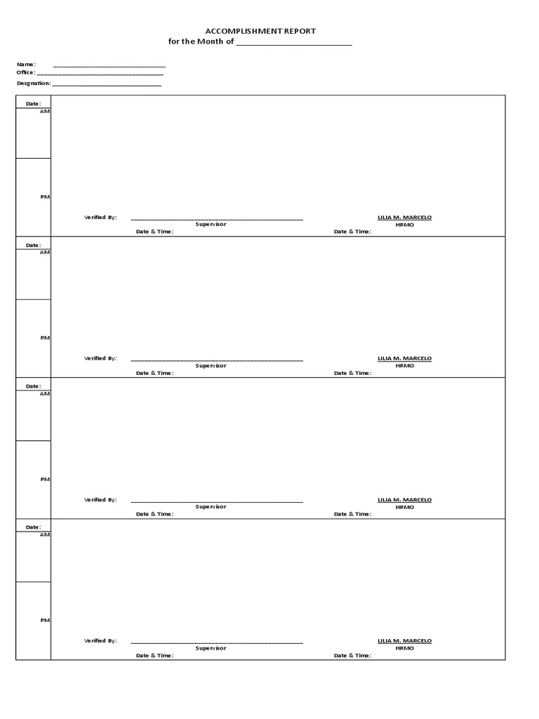 Daily Accomplishment Report Form | PDF