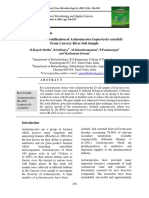 Isolation and Identification of Actinomycetes Isoptericola Variabilis From Cauvery River Soil Sample