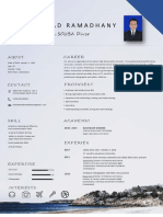 Professional SCUBA Diver's Resume