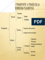 ppt transporte celular